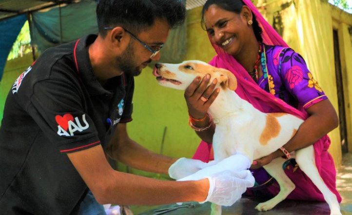 Horrified by cruelty, this animal lover started an NGO that has rescued more than 6,000 animals in Karnataka