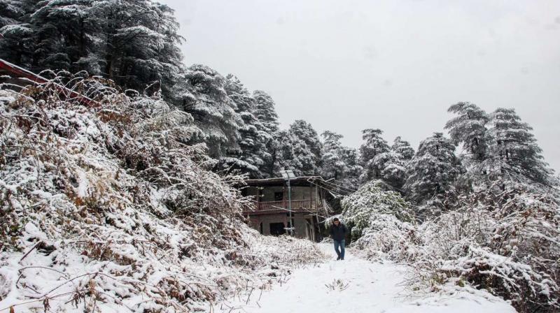 हिमाचल मौसम: हिमाचल के कई हिस्सों में पांच दिनों तक बारिश और बर्फबारी संभव, जानें मौसम पूर्वानुमान।